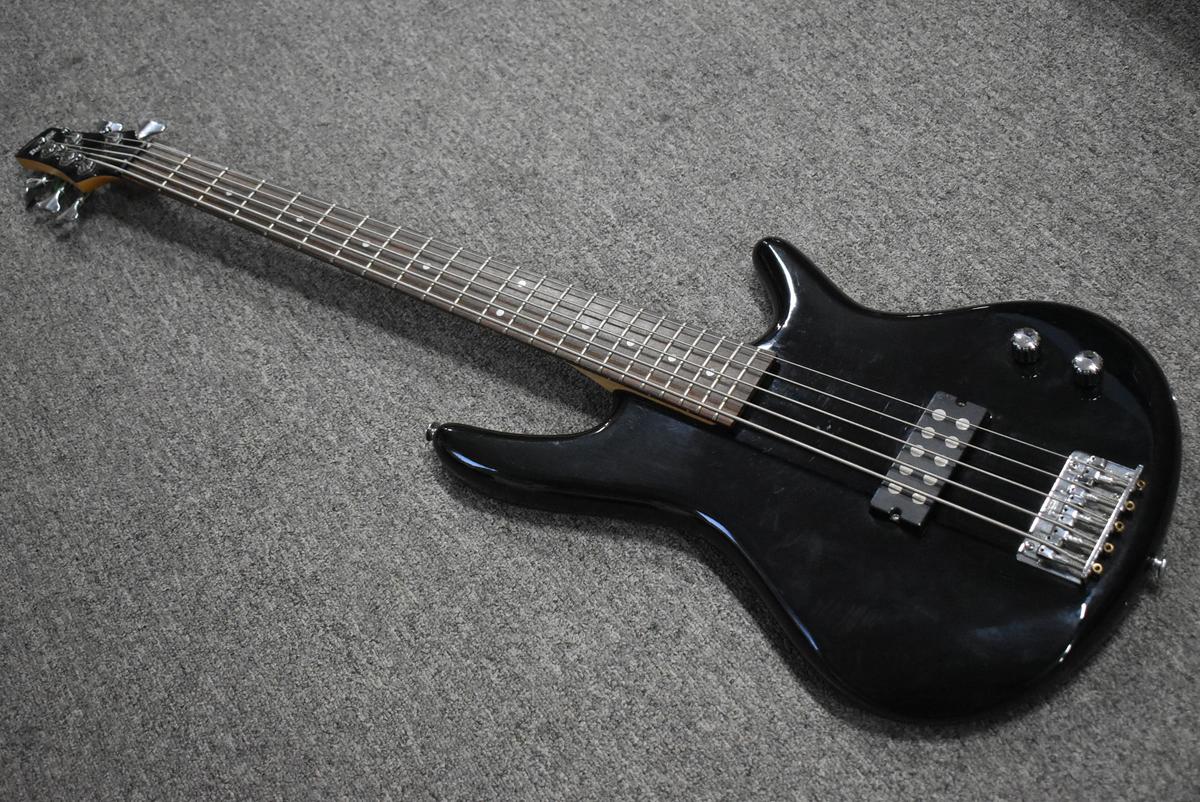 IBANEZ GIO BASS!