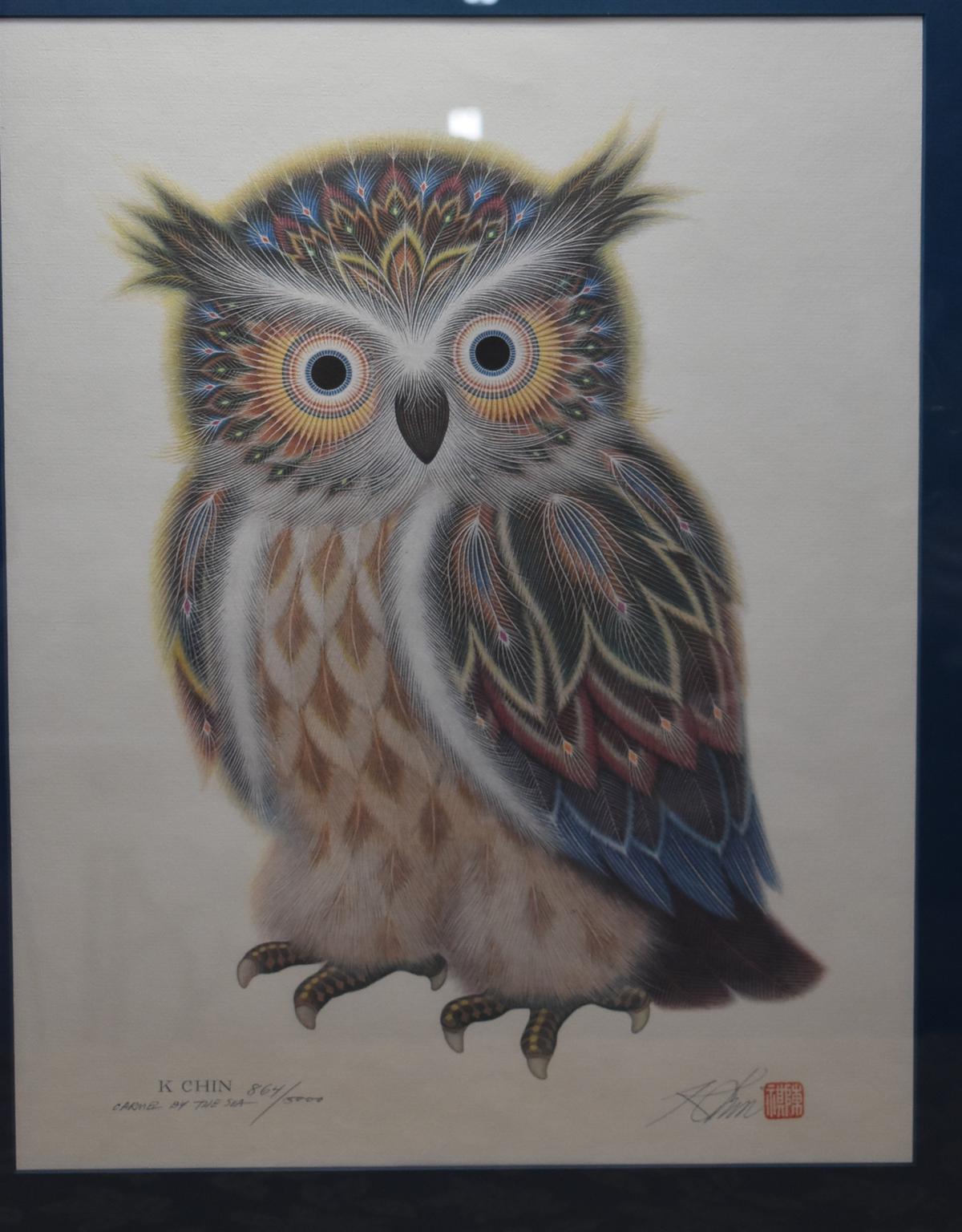 "PHSYCODELIC OWL"