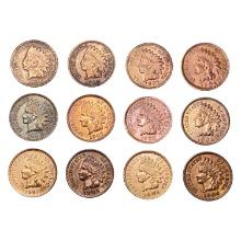 1901-1908 Nicer Details Indian Cent Collection [12