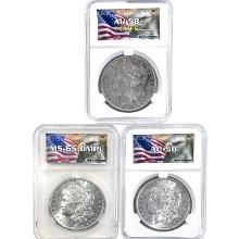 1886-1896 [3] Morgan Silver Dollar IGCS MS/AU