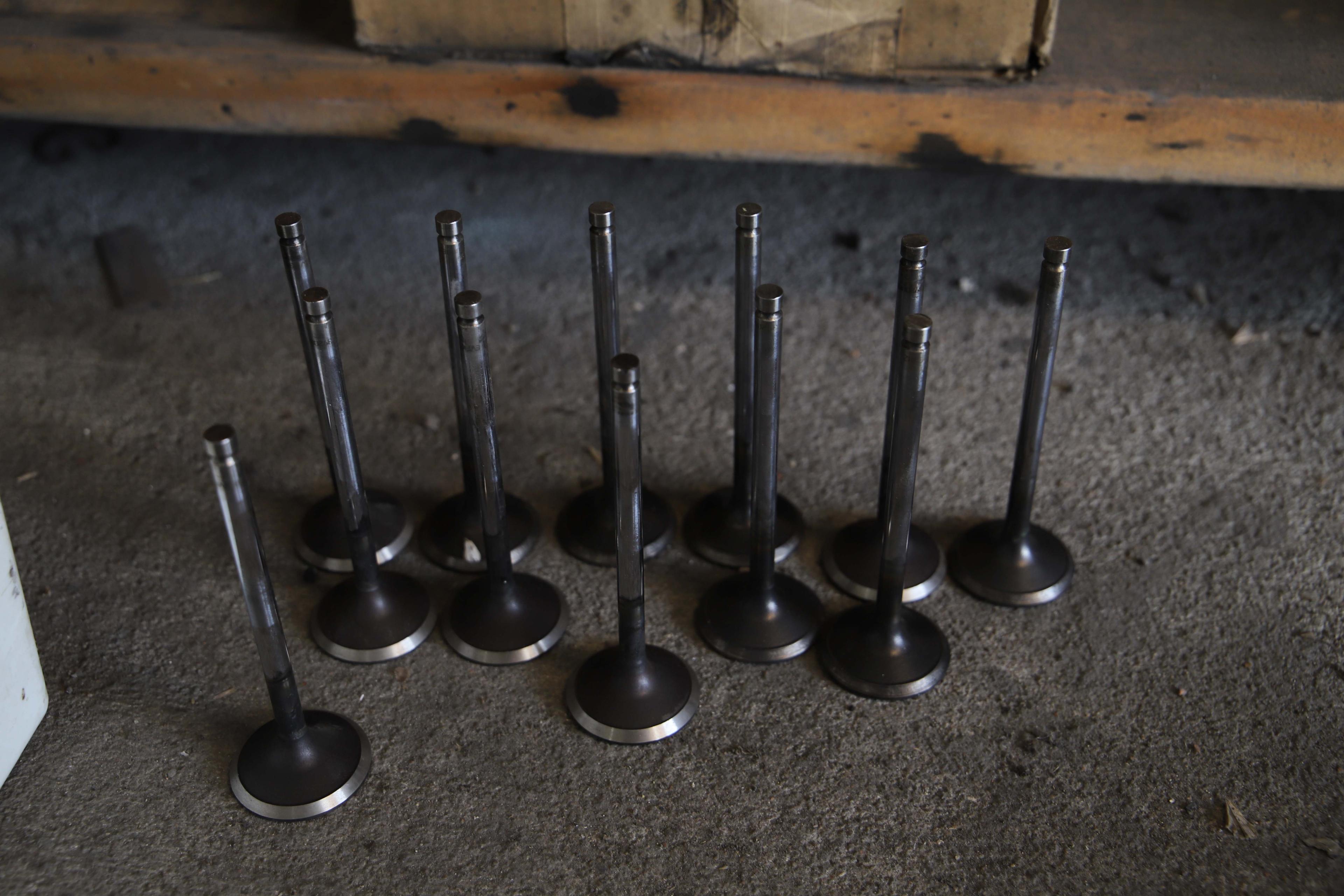 McBee, FP Diesel, Max Force, Engine valves and other Engine Parts