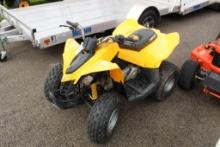 2014 Canam DS90