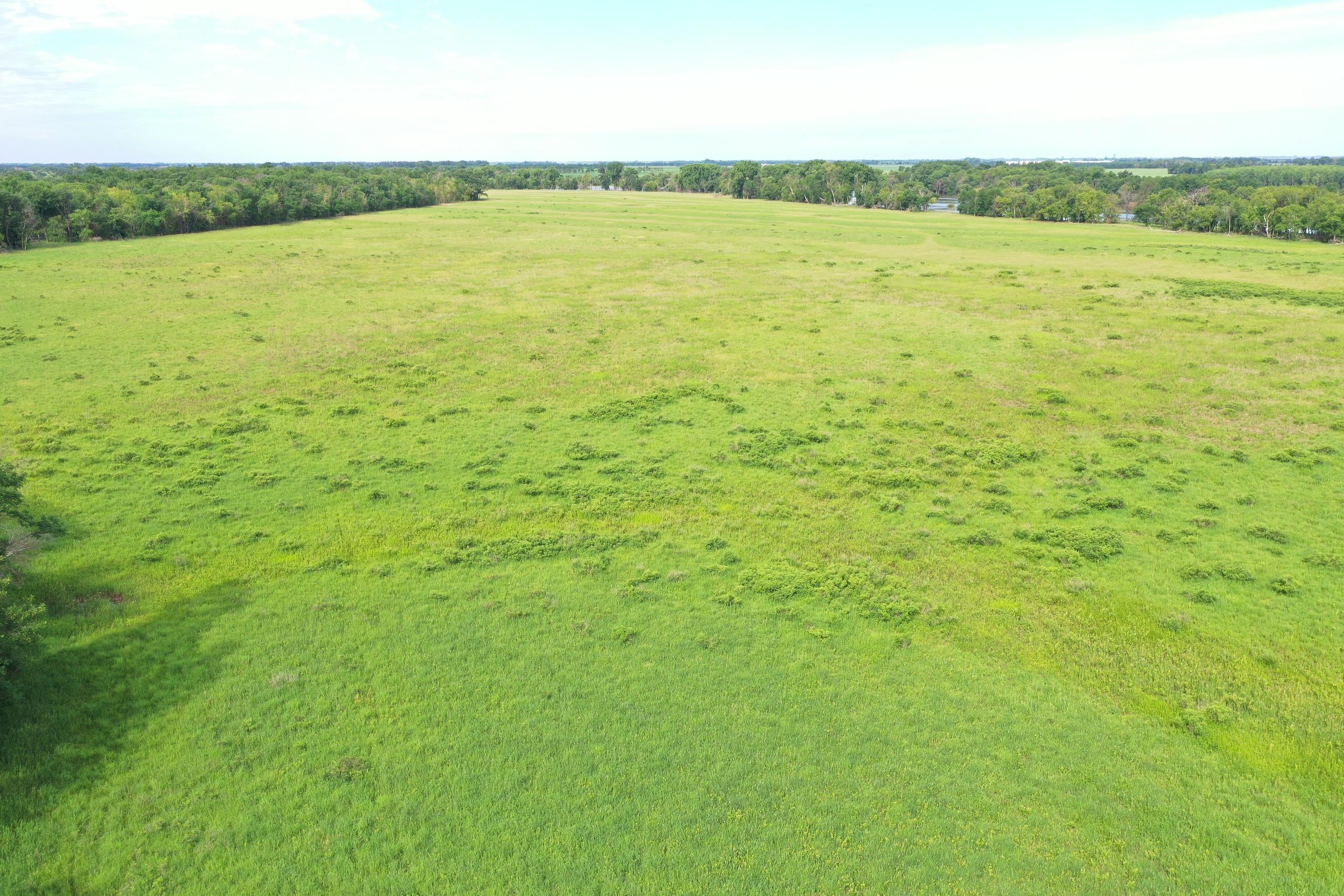 237 +/- Acres Of Possible Tillable And Wooded Acres