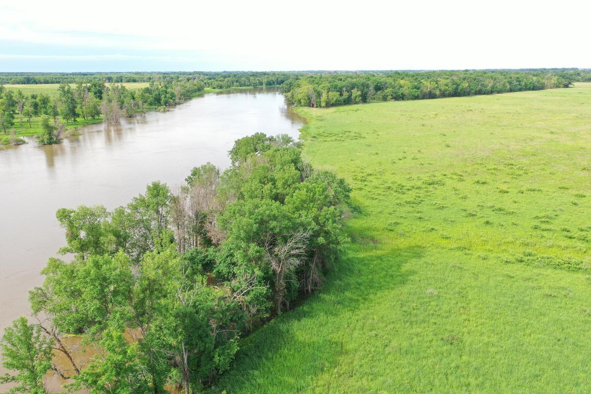 237 +/- Acres Of Possible Tillable And Wooded Acres