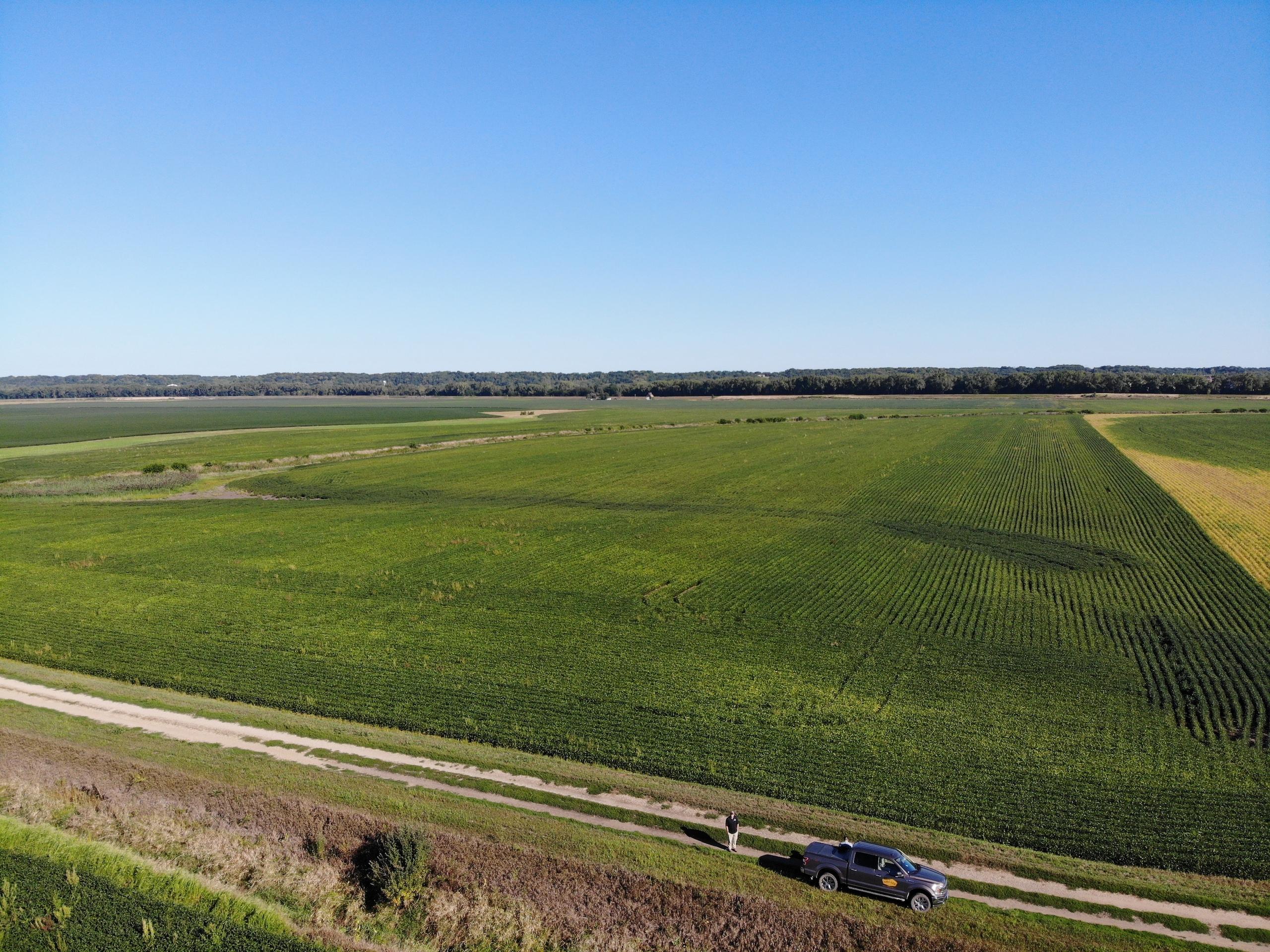 Tract 3 - 124.81± Acres