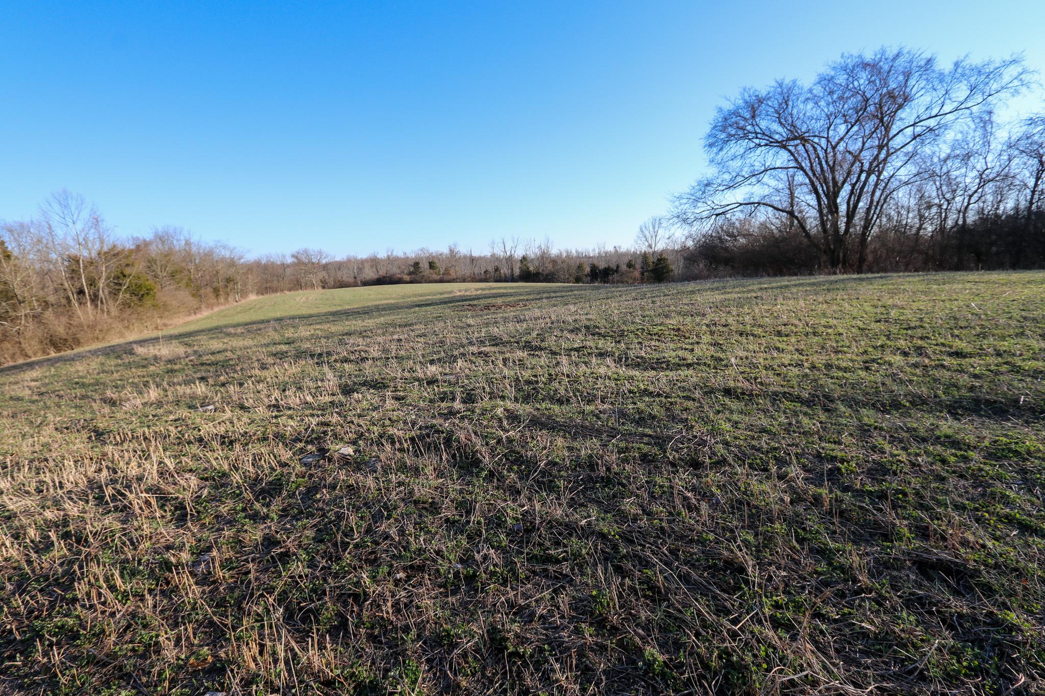 Tract 4 - 142.26 +/- Acres - Selling Absolute
