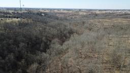 Tract 8 - 14 +/- Acres - Selling Absolute