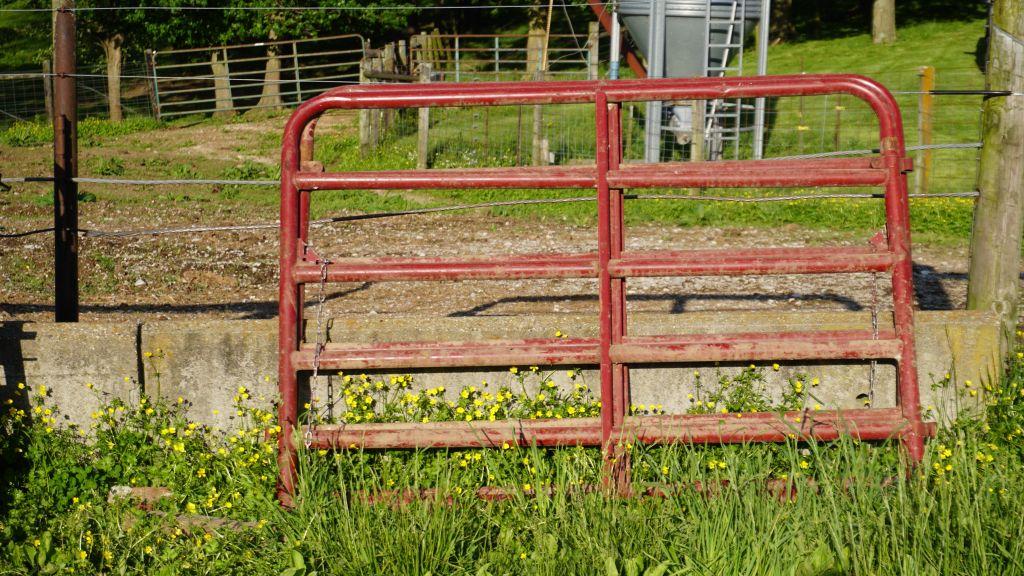 6' Heavy Gates (x2)