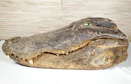 22" Alligator Head with Marble Glass Eyes