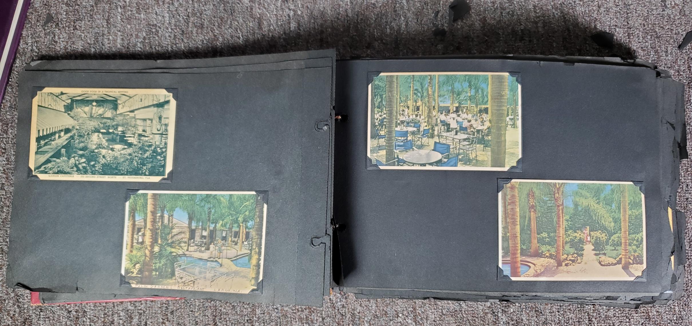 UPDATED PHOTOS! 225+ Vintage Florida Linen Postcard Album