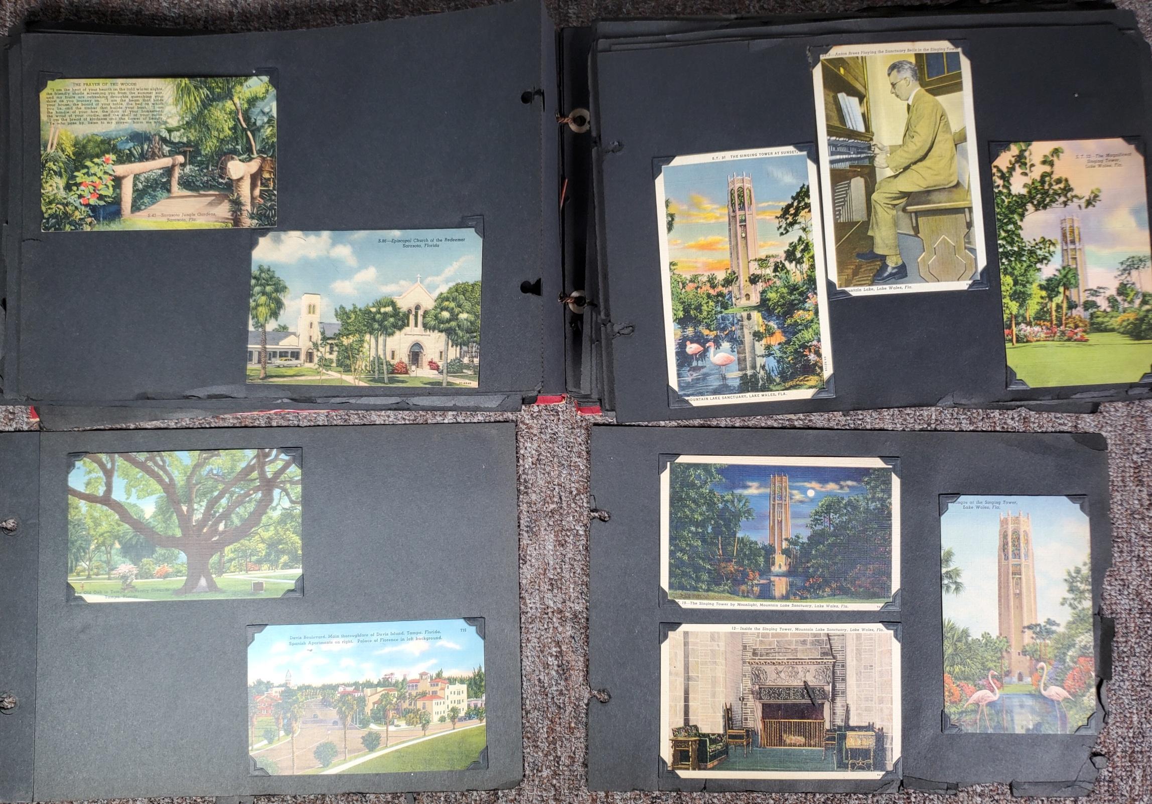 UPDATED PHOTOS! 225+ Vintage Florida Linen Postcard Album