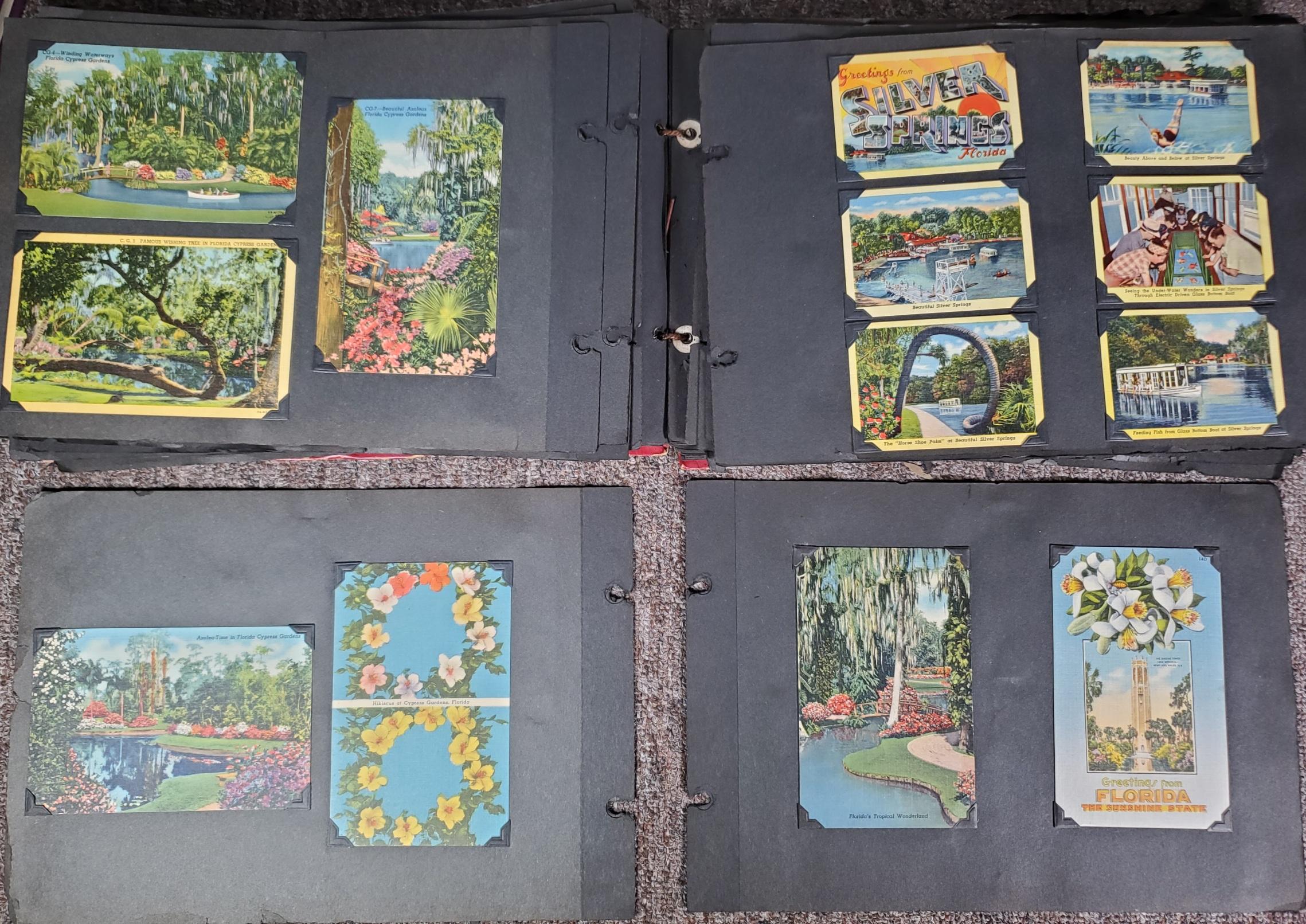 UPDATED PHOTOS! 225+ Vintage Florida Linen Postcard Album