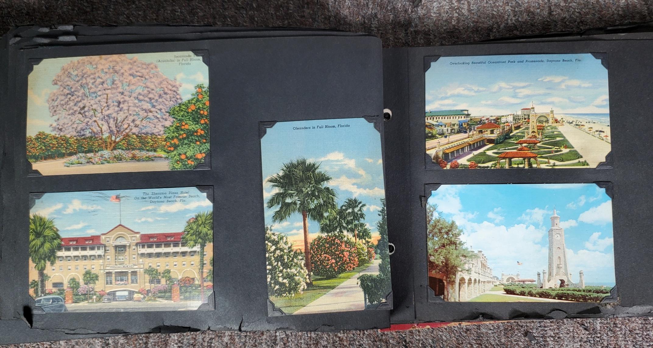 UPDATED PHOTOS! 225+ Vintage Florida Linen Postcard Album