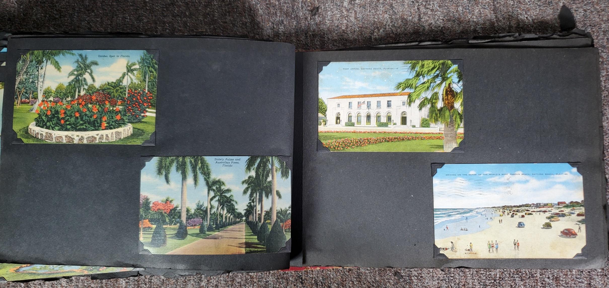 UPDATED PHOTOS! 225+ Vintage Florida Linen Postcard Album