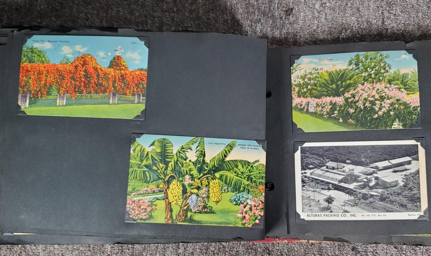 UPDATED PHOTOS! 225+ Vintage Florida Linen Postcard Album