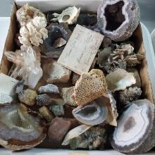 Tray Lot of Geodes, Crystals and Other Mineral Specimens