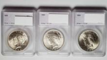 3 Slabbed MS Quality BU US SIlver Peace Dollars - 1922, 1924 and 1925