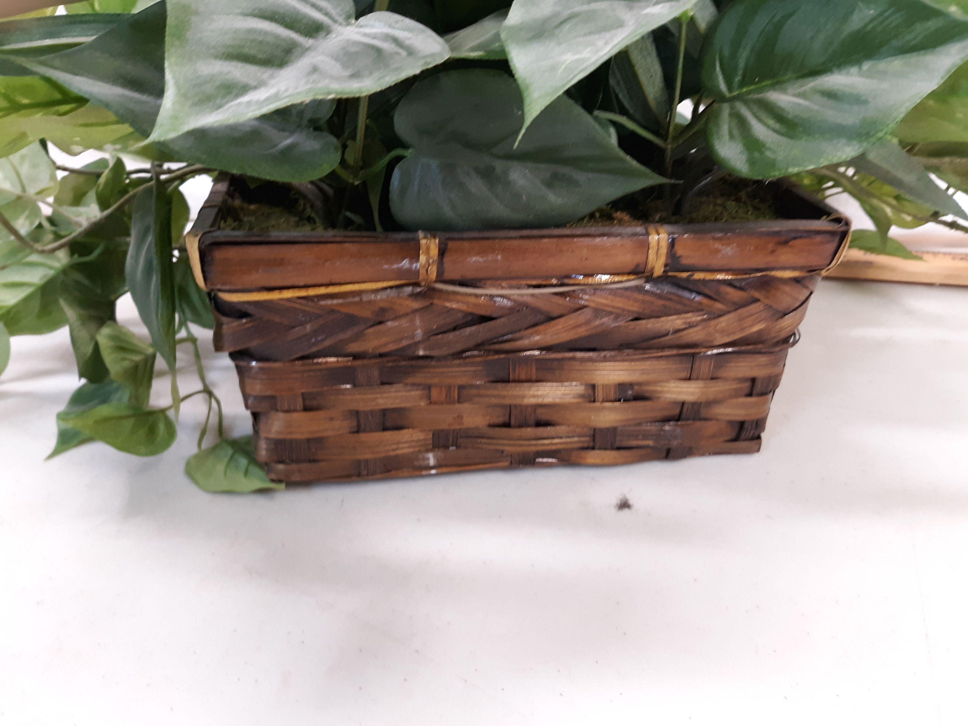 ceramic tissue box cover, silk pothos display