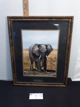 Framed Elephant Picture