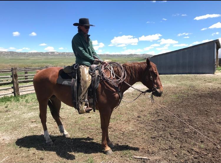 Stoney- 6 y/o Gelding