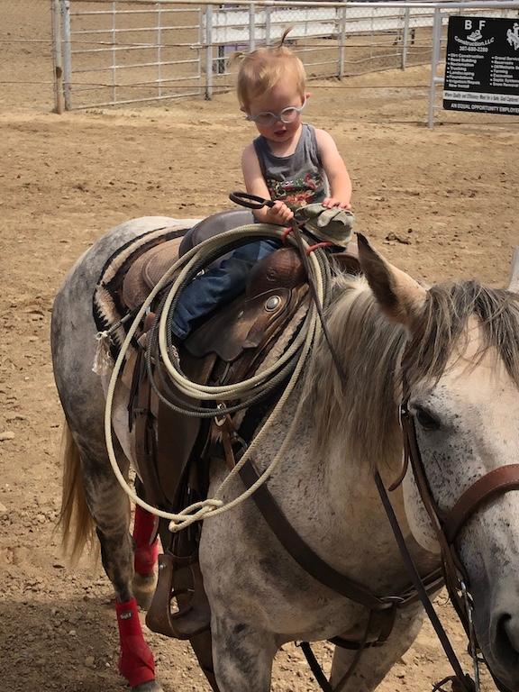 Peppys Gray Boy- 11 y/o AQHA Gelding