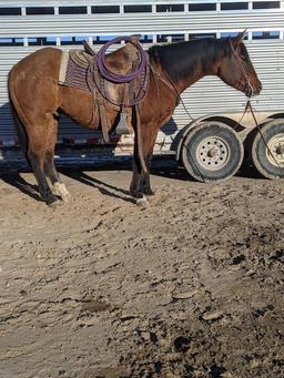 **WITHDRAWN**Slide Your Hotrod-5 y/o Dun AQHA Gelding