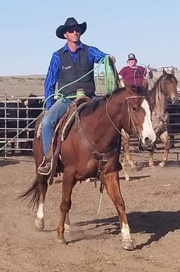 Ms Babydoll Bluprint-5 y/o AQHA Mare