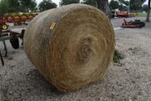 5 - 5' X 6' BLUE STEM, RYE GRASS AND WILD OATS ROUND BALES