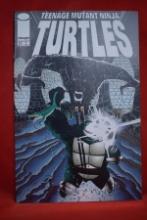 TEENAGE MUTANT NINJA TURTLES #17 | KEY SCARCE LOW PRINT ISSUE