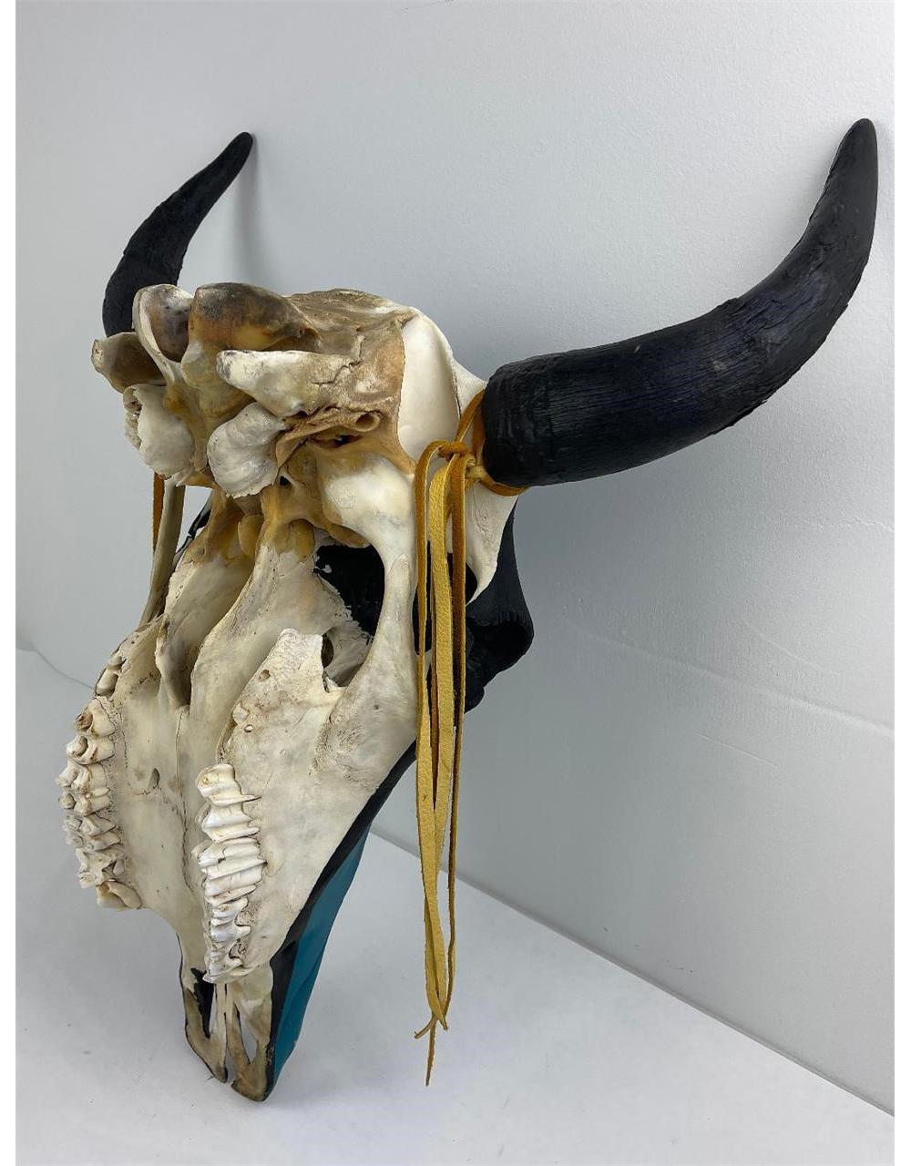 Montana Indian Painted Buffalo Skull David Chase