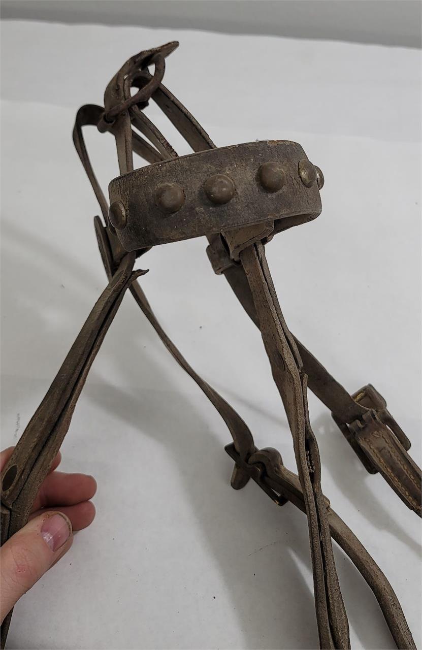 Ww1 Us Cavalry Bridle Bit W/ Rosettes