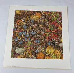 Bev Doolittle Signed Print The Spirit Takes Flight