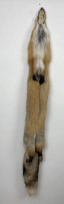 Beautiful Ranch Red Fox Fur Pelt Taxidermy