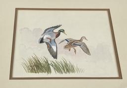 Ron Jenkins Missoula Montana Ducks Watercolor