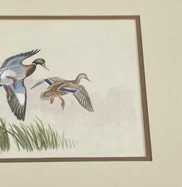 Ron Jenkins Missoula Montana Ducks Watercolor