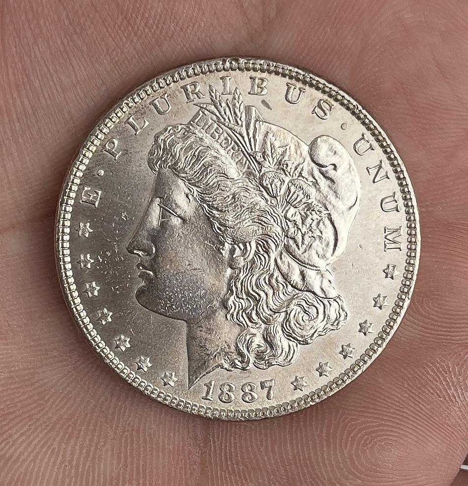 1887 Morgan Silver Dollar Toned