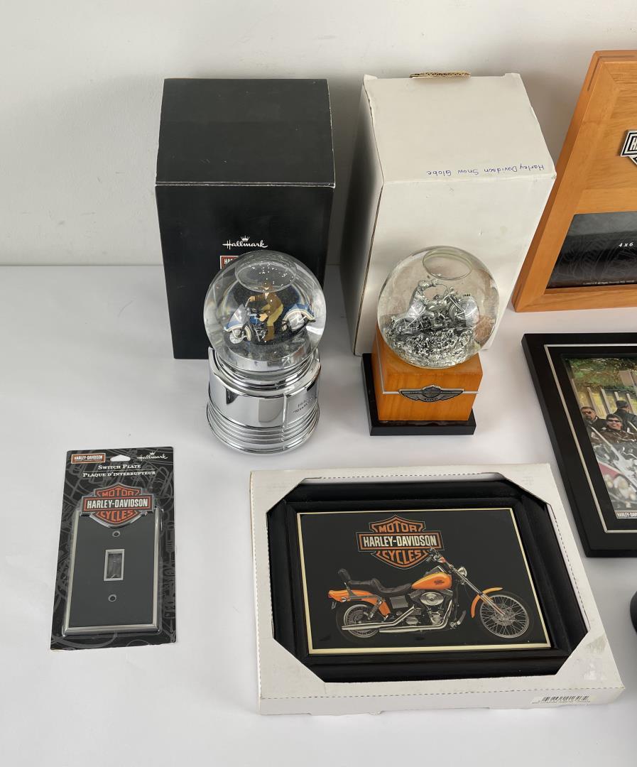 Collection of Harley Davidson Motorcycle Items