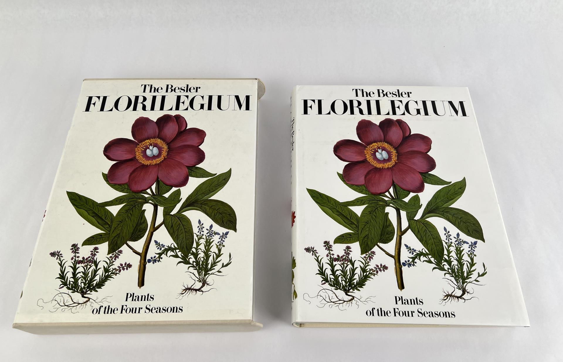 The Besler Florilegium Plants Of Four Seasons