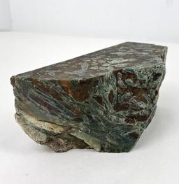 Hampton Butte Petrified Wood Mineral Specimen