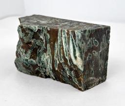 Hampton Butte Petrified Wood Mineral Specimen