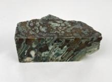 Hampton Butte Petrified Wood Mineral Specimen