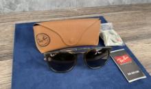 Ray Ban Erika RB4171 Polarized Sunglasses