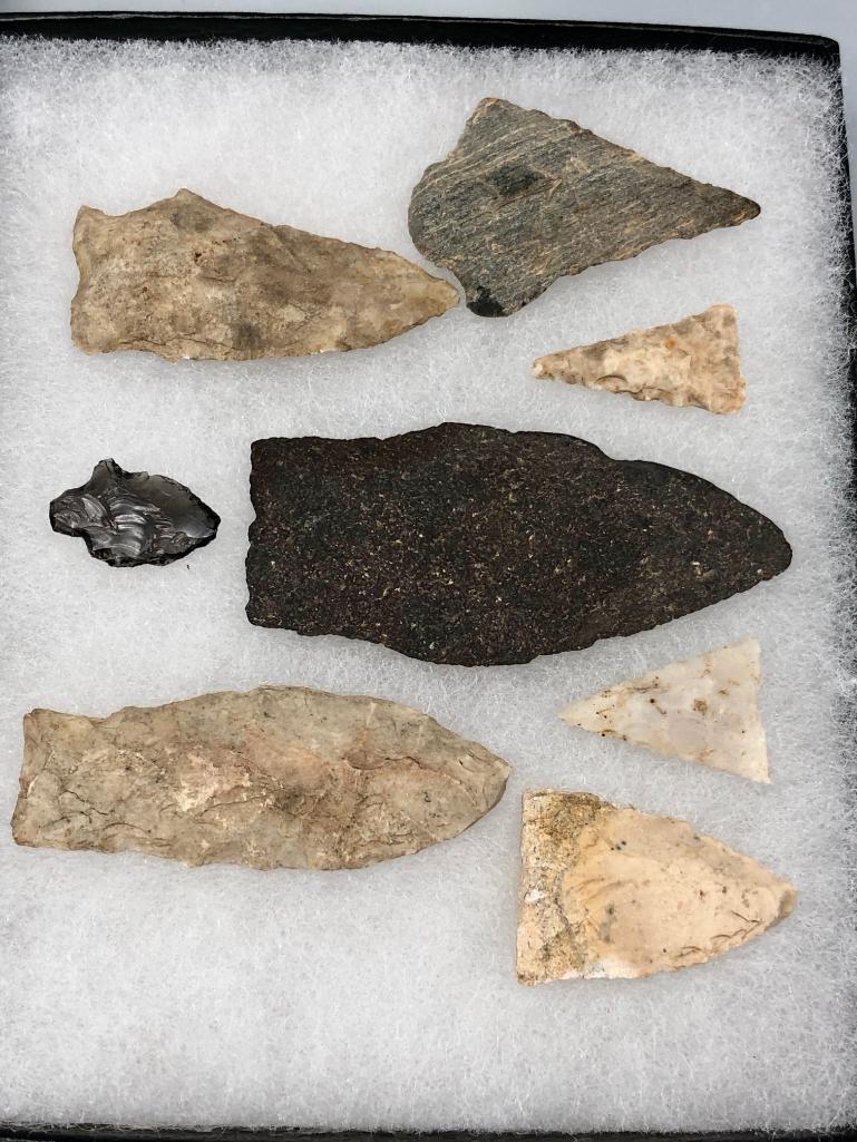 Arrowhead and Artifact Displays