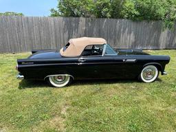 1955 Ford Thunderbird