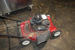 Briggs & Stratton Push Mower