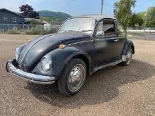1969 Volkswagen Beetle - SELLING NO RESERVE