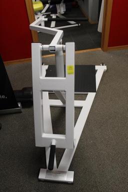 KidzPoweR Hydraulic Standing Tricep Machine