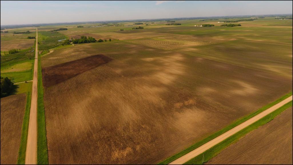 120.46 Acres of Renville County Farm Land located in Section 26, Sacred Heart Twp, Renville Co.