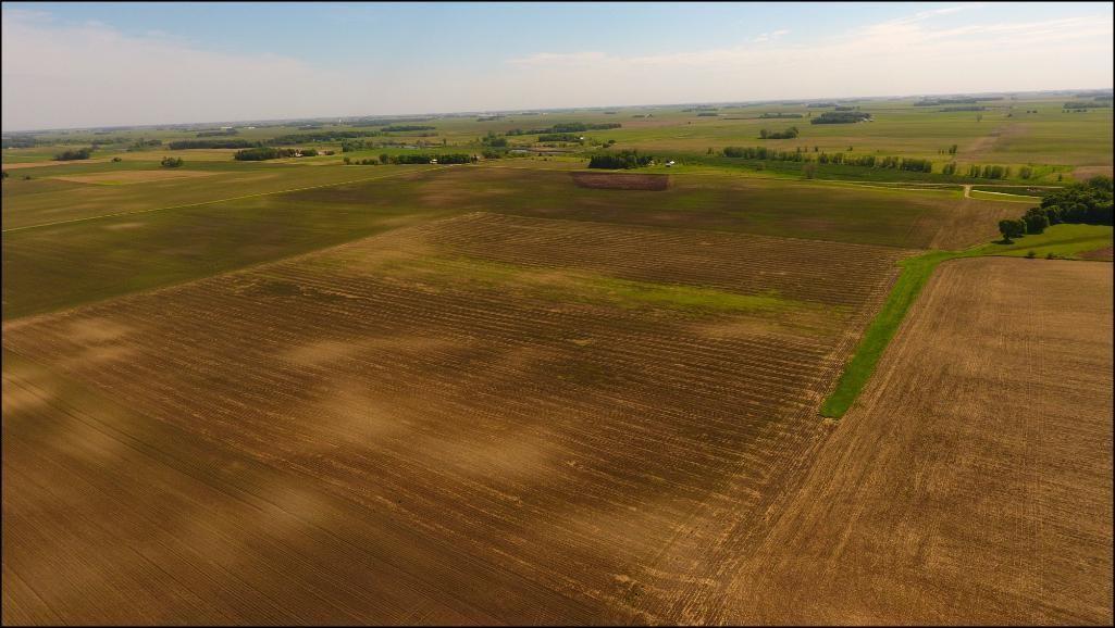 120.46 Acres of Renville County Farm Land located in Section 26, Sacred Heart Twp, Renville Co.