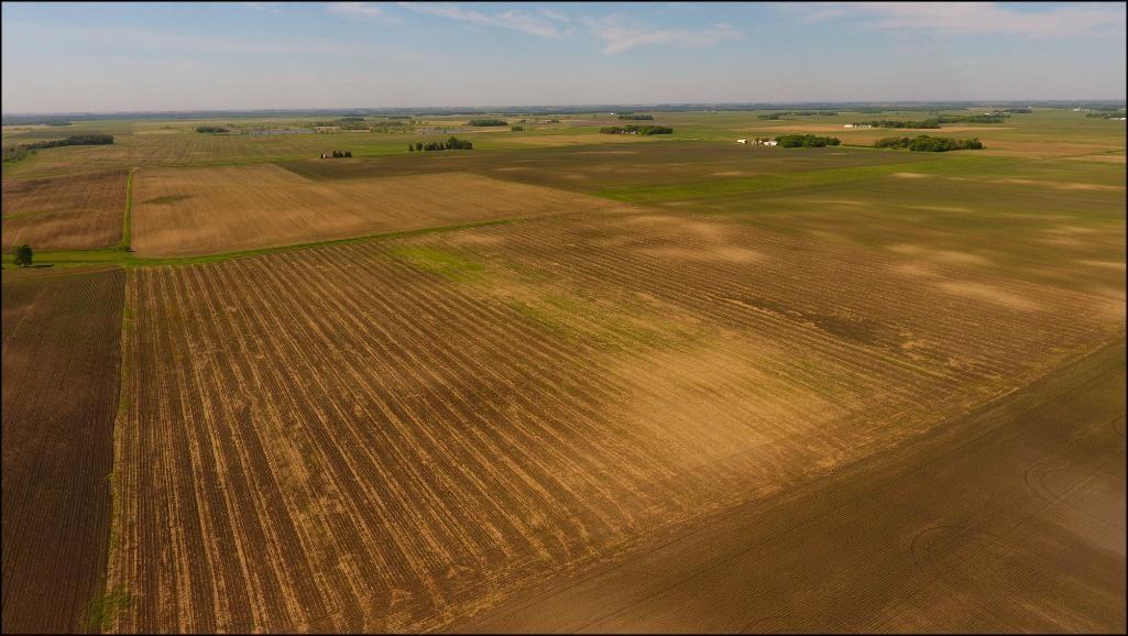 120.46 Acres of Renville County Farm Land located in Section 26, Sacred Heart Twp, Renville Co.